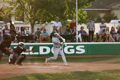 Herald Fans' Choice Player of the Week