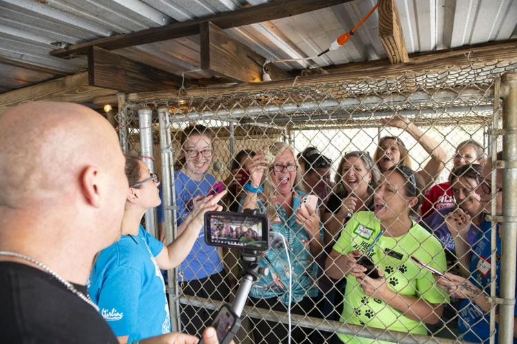 PHOTOS: Jordan's Way helps raise funds for animal shelters