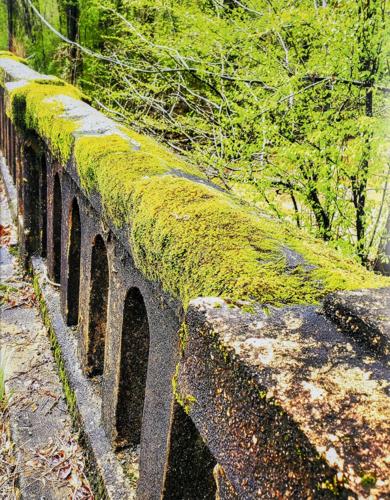 Lake Martin Living Art & Photo Contest