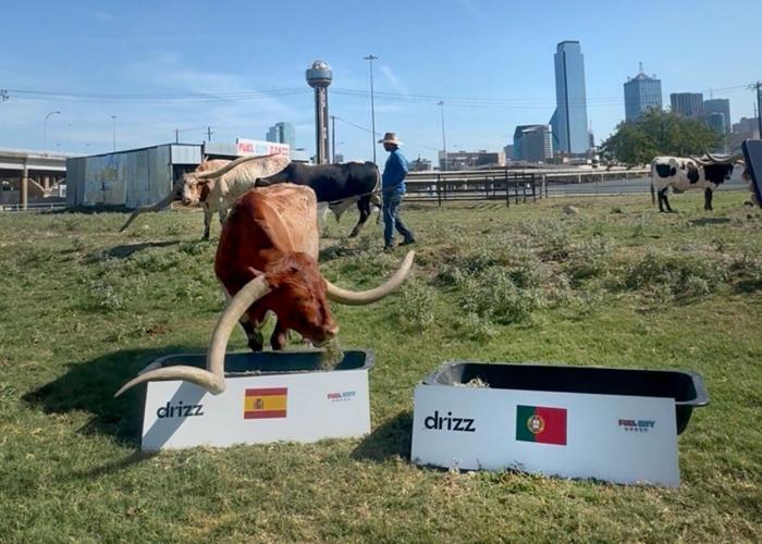 A Longhorn makes his call at Fuel City in Dallas, choosing between Spain and Portugal with the downtown skyline behind him. The Dallas oracle has predicted the knockout rounds all tournament and picks the winner of Sunday's Final live on Thursday, July ...