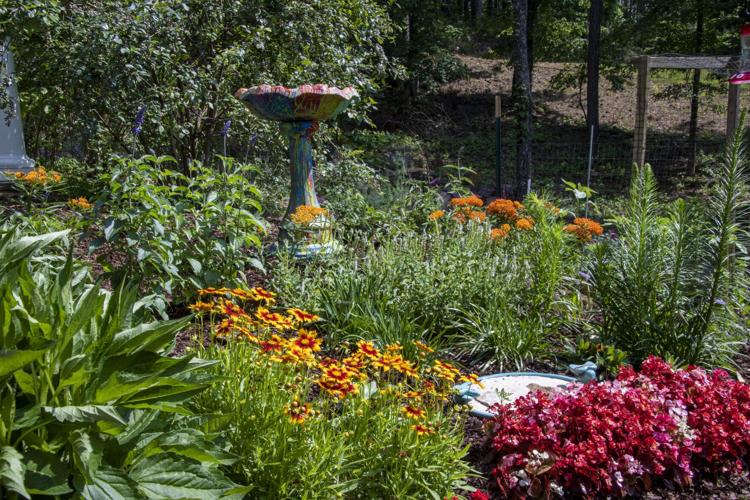 The best flowers to attract butterflies