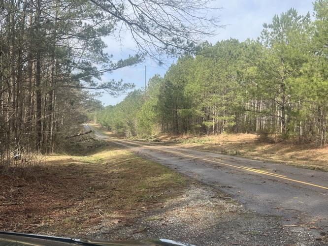PHOTOS: Tornado damage and cleanup in Tallapoosa County