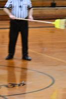 PERSONAL FOUL: Bat disrupts Lady Tigers' game against LaFayette