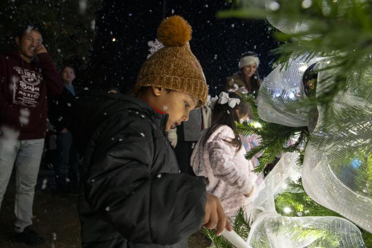 PHOTOS: Millbrook Christmas Tree Lighting ceremony
