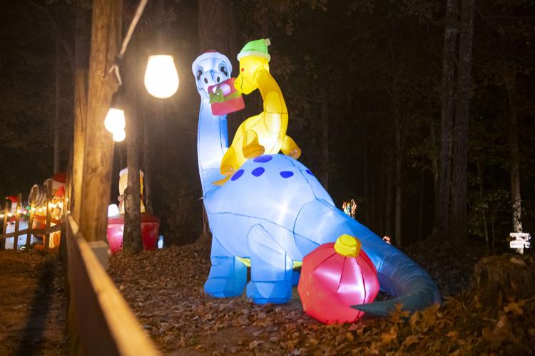 20251119 Big Bear Lights 010.jpg