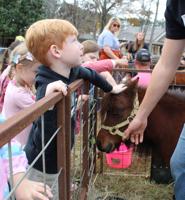 Jim Pearson students have hands-on learning during Heritage Day
