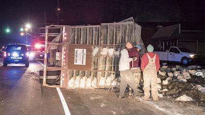 CHICKEN TRUCK CLUCK UP: Overturned semi scatters chickens on Cherokee Road