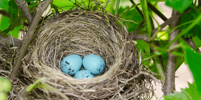 Outdoor Life: No empty-nesters here