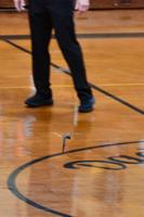 PERSONAL FOUL: Bat disrupts Lady Tigers' game against LaFayette