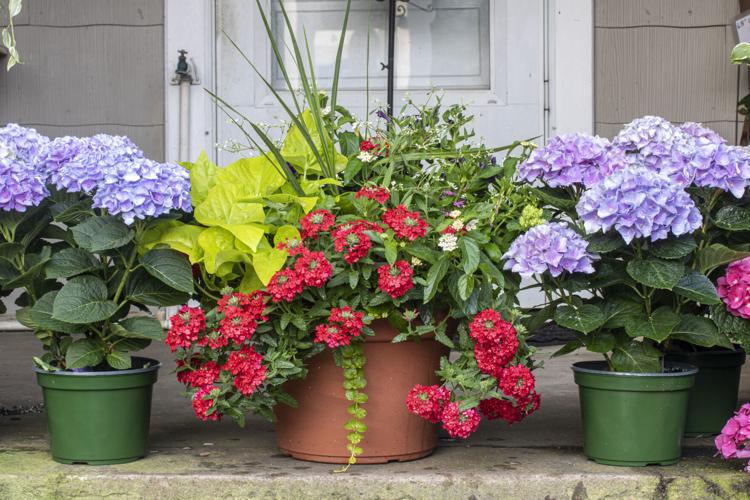 Cue the colorful containers