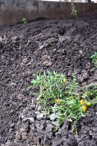 110125 city sewage upgrades2.jpg