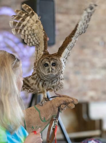 PHOTOS: Eclectic's Raptor Ridge brings raptors to library program