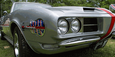 Hot Rods in the Park