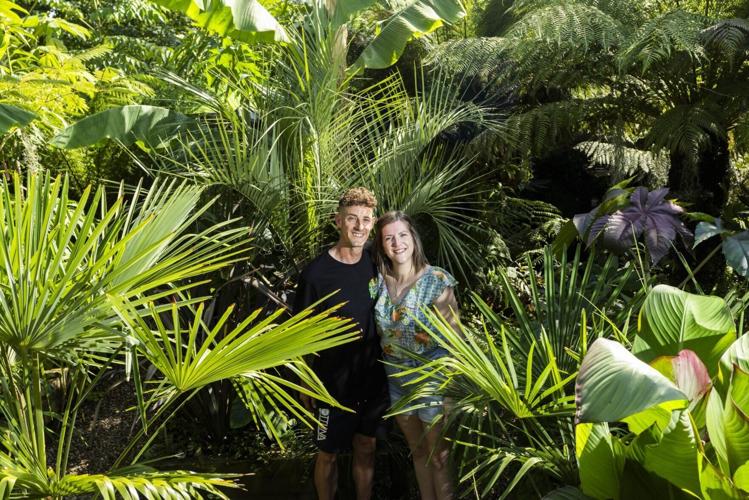 Couple’s tropical jungle garden ‘thrives’ in the heat wave