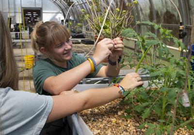 ‘Applying theory’ Tallassee High students growing fish and more