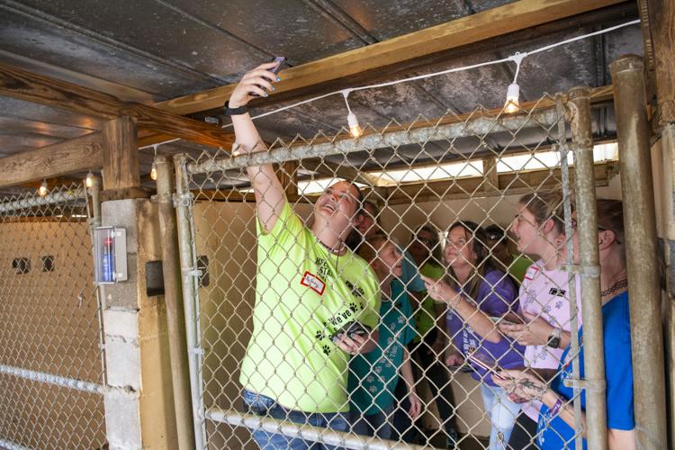 PHOTOS: Jordan's Way helps raise funds for animal shelters