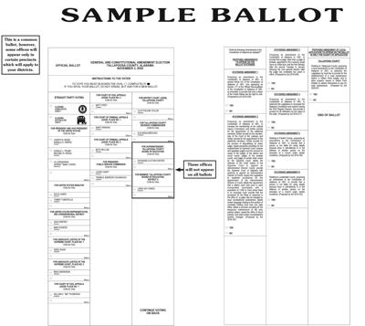 Tallapoosa County sees absentee ballot record, local item up for Tuesday’s election