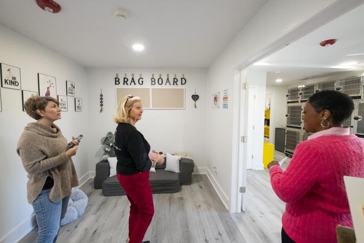 PHOTOS: Dogs now learning at Fur Baby Univeristy