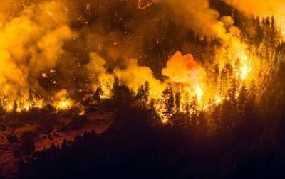 Argentina's government has declared an emergency over wildfires raging for weeks in four provinces in the remote southern Patagonia region