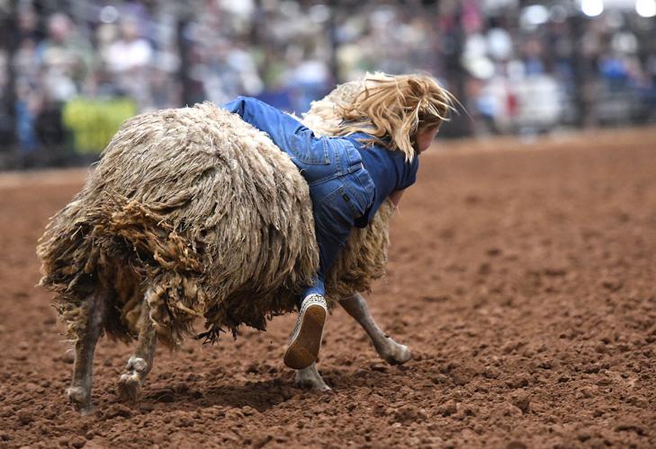 Lake Martin Rodeo