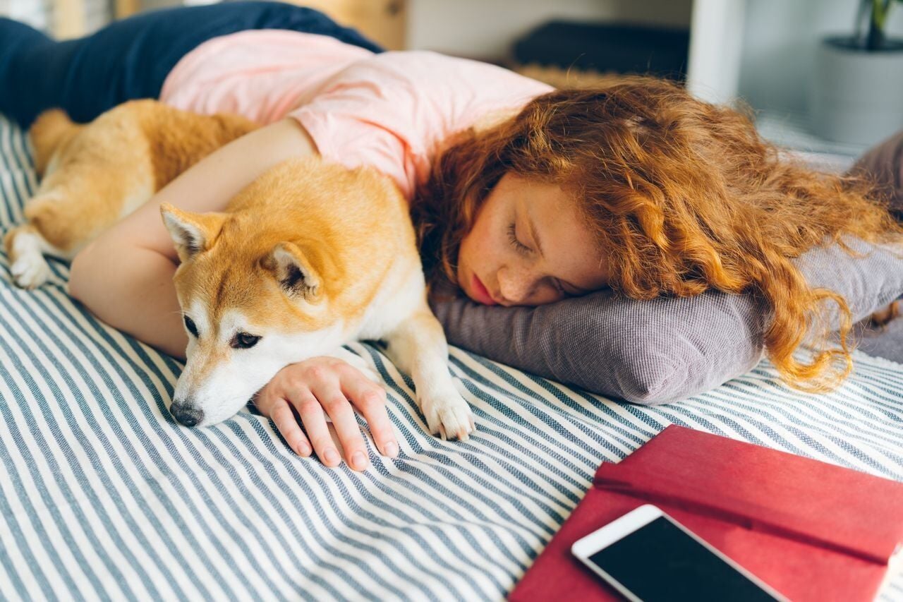 4 Pi R2 Do dog owners who share beds with their pets sleep more soundly ...