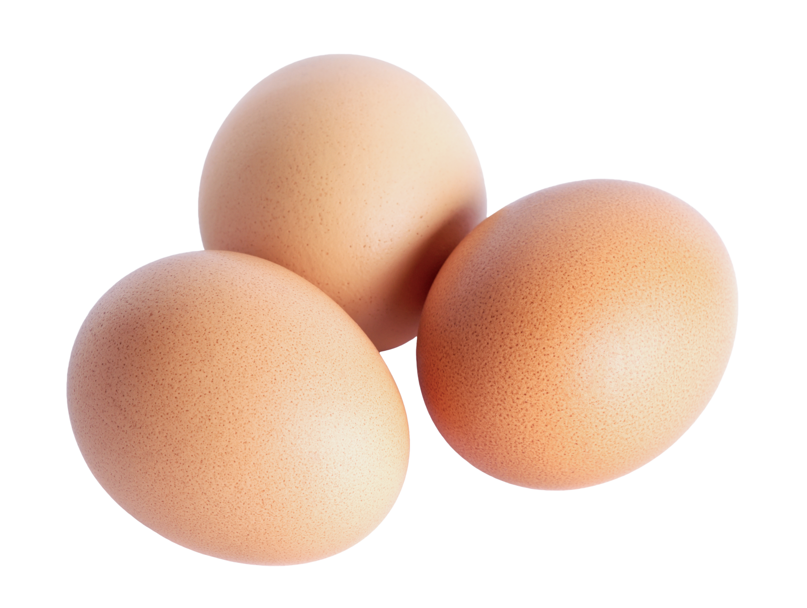 The Cherished Egg