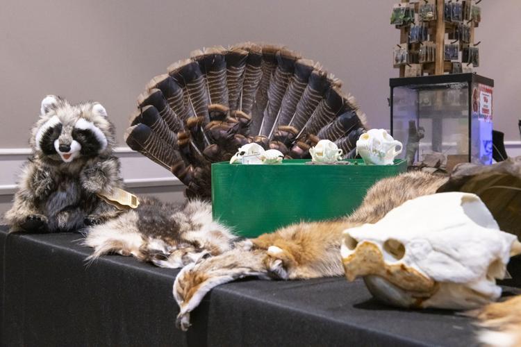 20260311 Crater 004.jpg