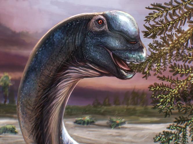 newdino_featured