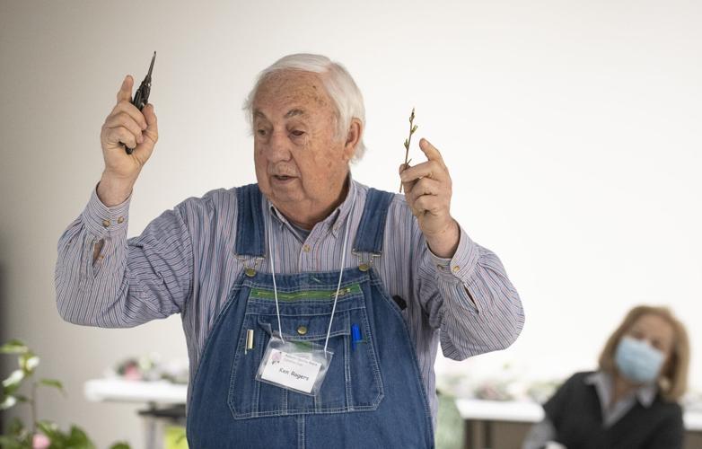 PHOTOS: Camellia grafting workshop