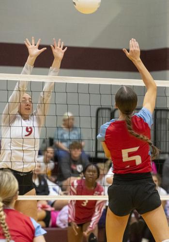 PHOTOS: Elmore County volleyball hosts block party