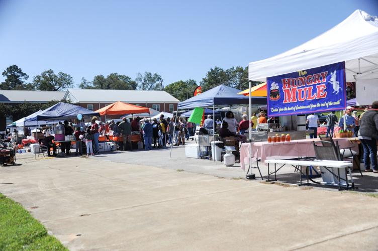 PHOTOS: Dadeville's Annual Fall Festival sees large turnout at new location