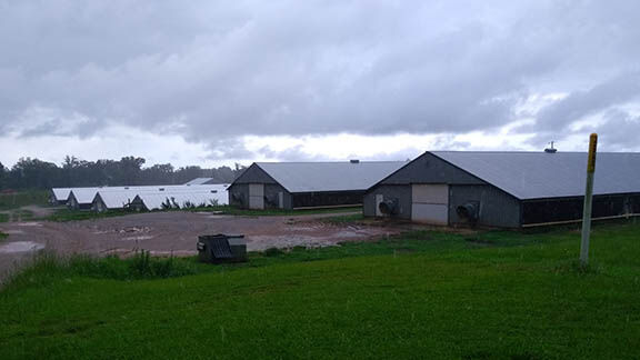 ADEM says all is well with pending change but lake stakeholders call for halt to regulation approval