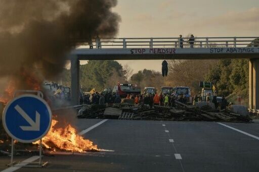 Farmer says the EU-Mercosur deal will flood the market with cheaper alternatives and cause untold damage to their livelihoods