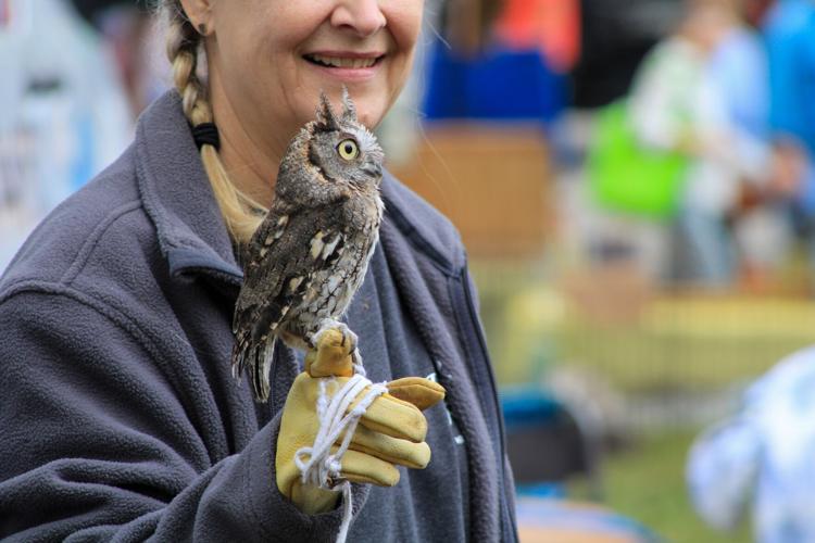 PHOTOS: 2023 Alabama Cotton Festival