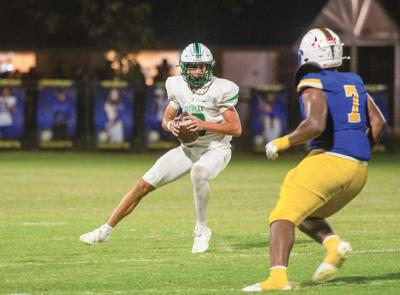 081226-holtville season copy.jpg