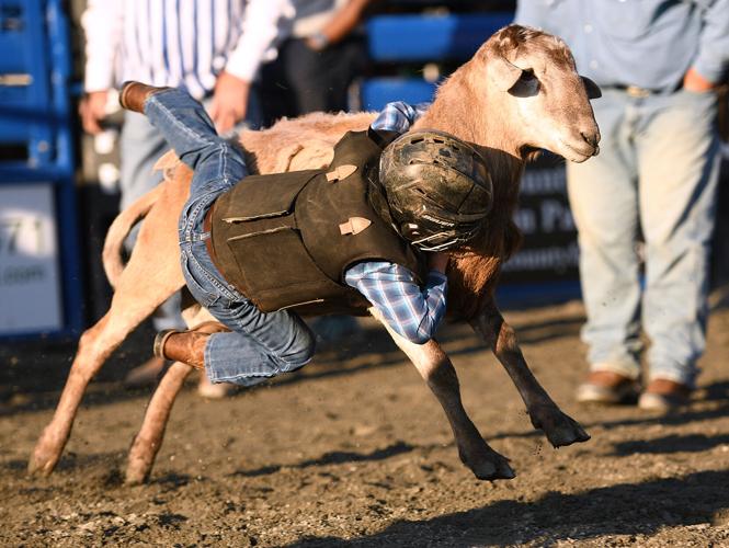 Wetumpka FFA Alumni Rodeo