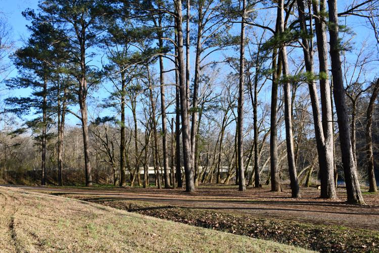 Coosa County Road 29