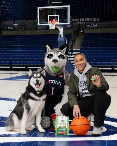 This March, the GREENIES™ brand is teaming up with the storied UConn Huskies and basketball icon Diana Taurasi to champion dog dental health