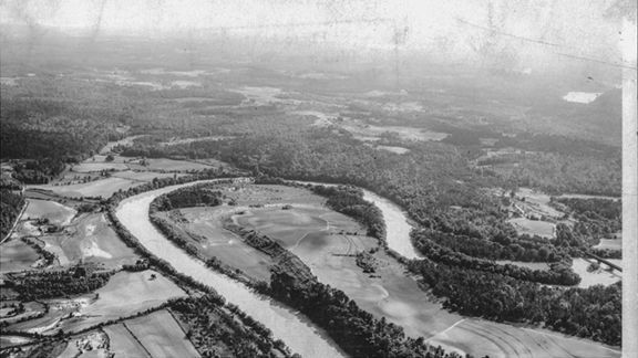 Horseshoe Bend tree witnessed historical battle