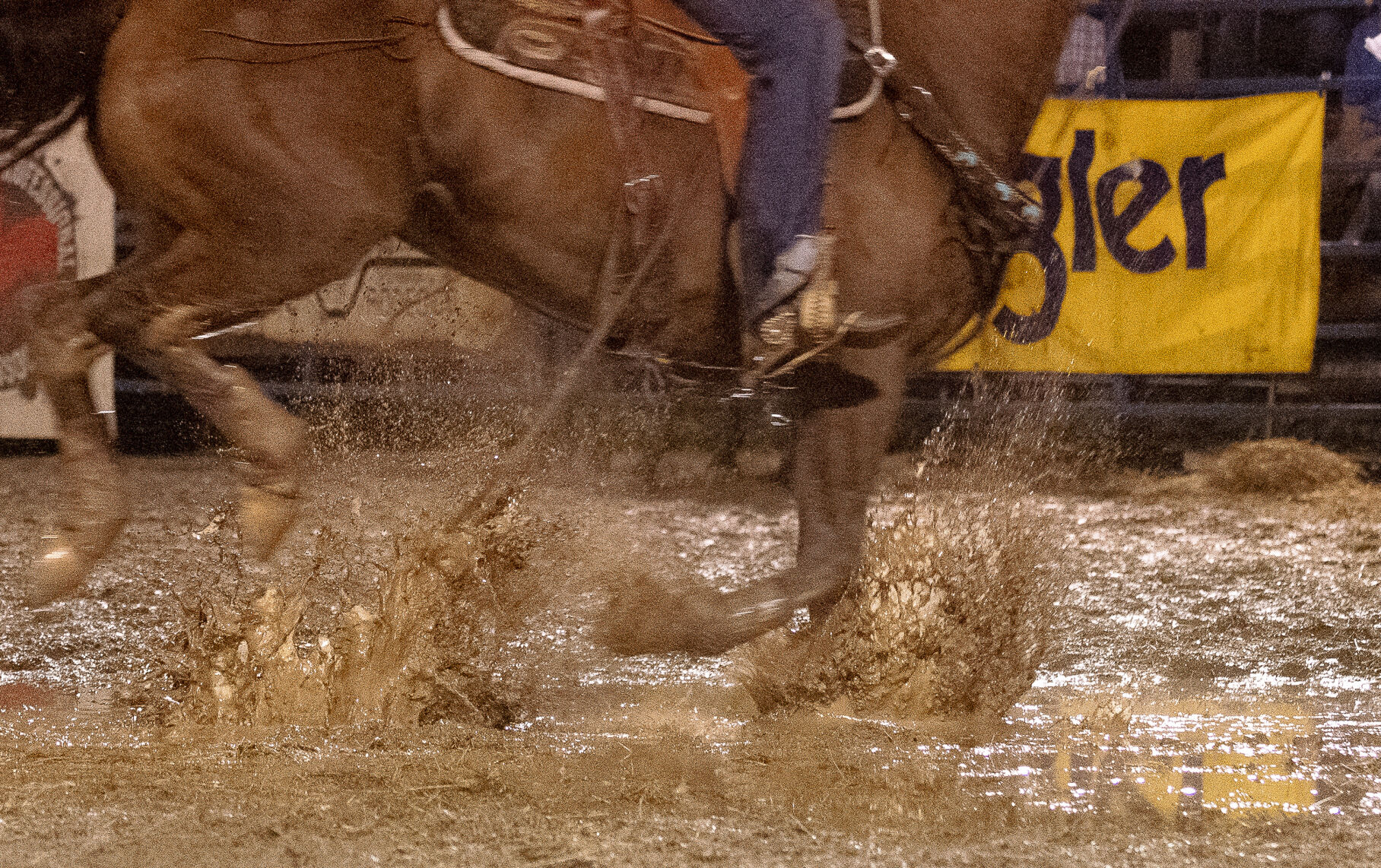 PHOTOS: Benjamin Russell FFA Alumni Rodeo
