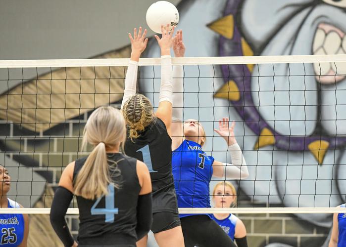 101825 Coosa area 01.jpg