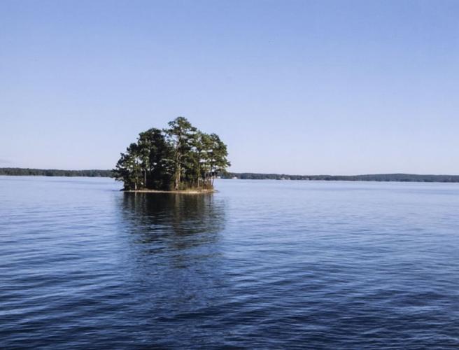 Lake Martin Living Art & Photo Contest