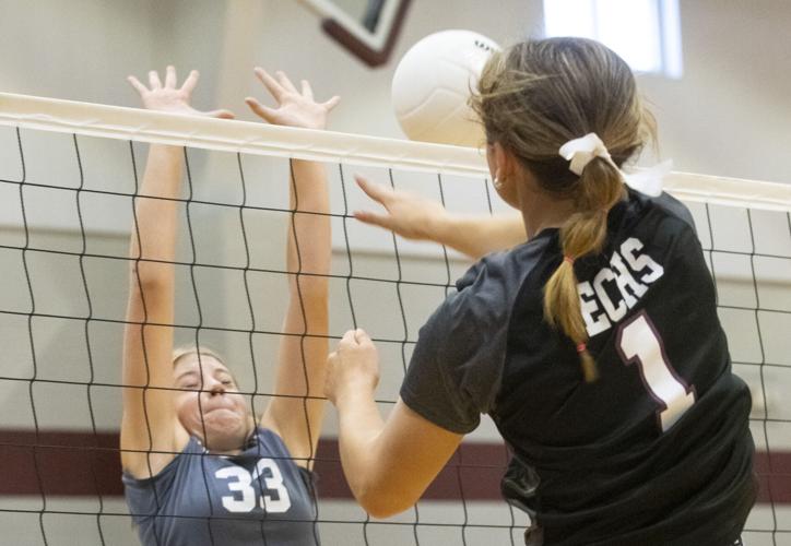 PHOTOS: Elmore County volleyball hosts block party