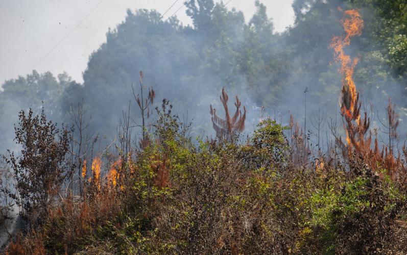 PHOTOS: Brush fire between Riverchase Drive and Sturdivant Road