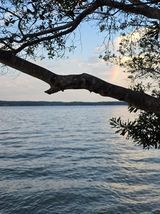 Lake Scenes January 2025