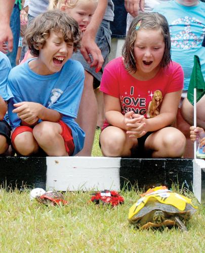Turtle racing event that used to attract large crowd would celebrate 40 years this month