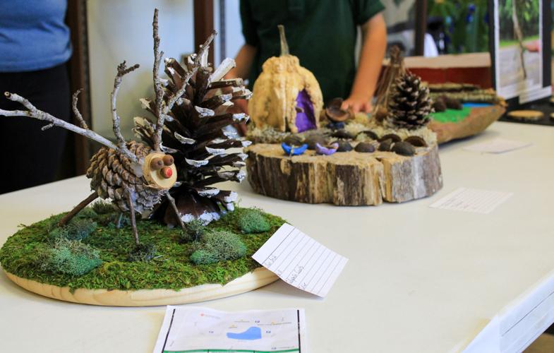 Tallapoosa and Coosa takes home wins at Regional 4-H Congress