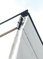 Nearly $6 million needed to bring 2 city buildings up to code