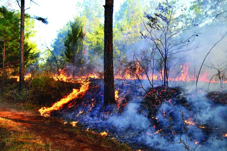 Fire puts residents on alarm