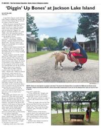 Page C06